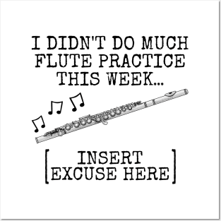 I Didn't Do Much Flute Practice, Flautist Woodwind Musician Posters and Art